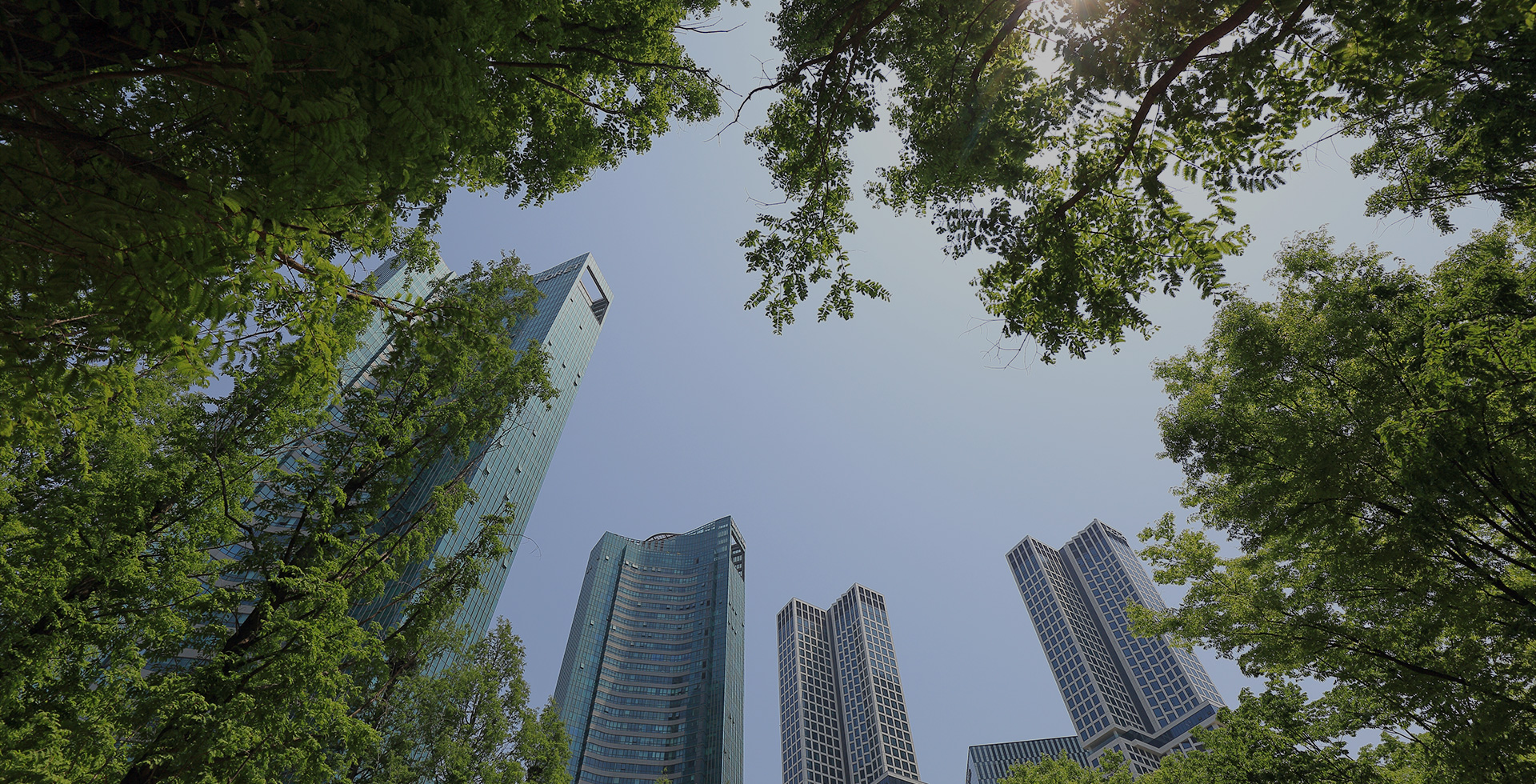 Health Total Solution