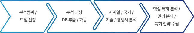 1. 분석범위/모델 선정 2. 분석 대상 DB 추출/가공 3. 사계열/국가/기술/경쟁사 분석 4. 핵심특허분석 /권리분석/특허전략수립