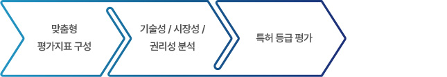 1. 맞춤형 평가지표 구성 2. 기술성/시장성/권리성 분석 3. 특허 등급 평가