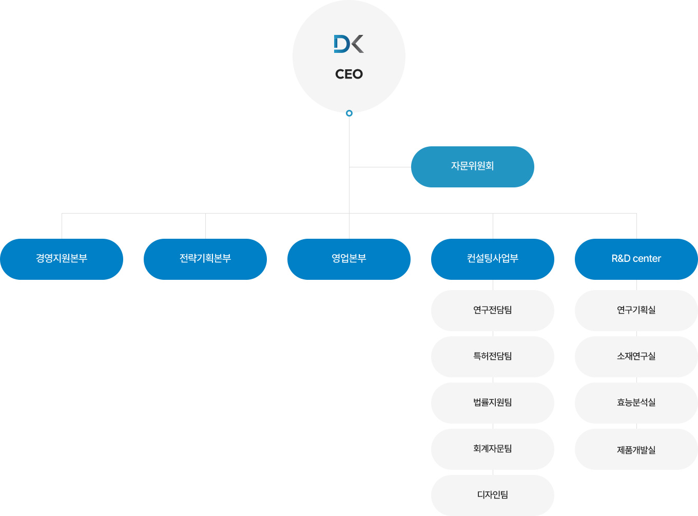 닥터공랩 조직도